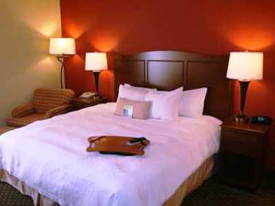 Hampton Chicago-tinley Park 3* Tinley Park